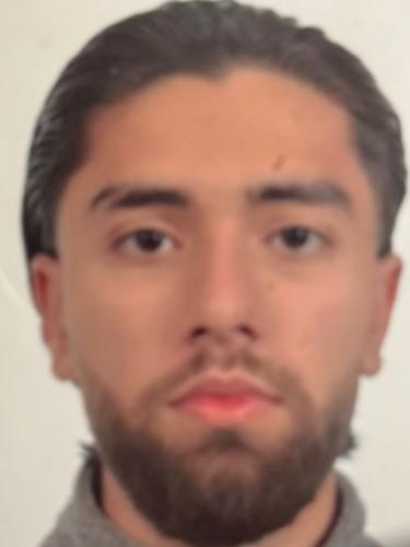 Ali Engin