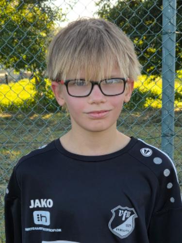 Robert Siegfried Hahn