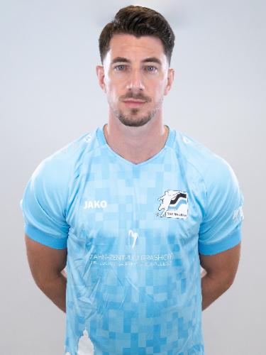 Nikola Trkulja
