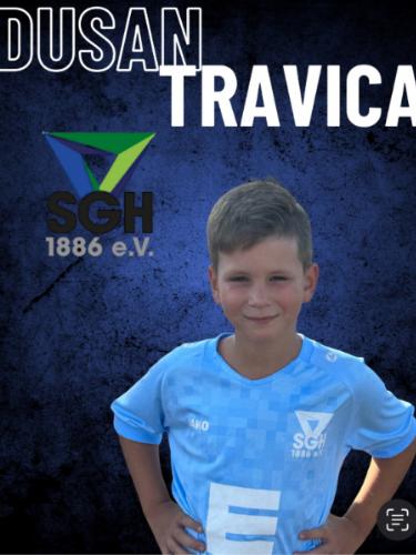 Dusan Travica