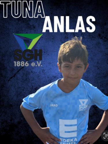 Tuna Anlas
