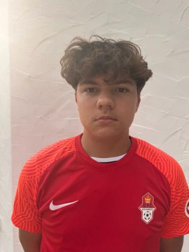 Maximilian Rudolf Wittek