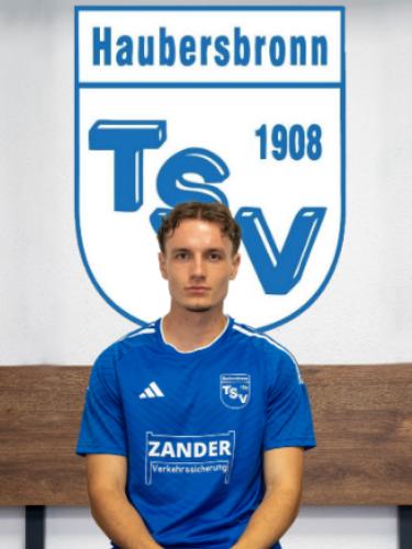 Demian Mesic