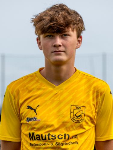 Louis Arkadi Steffens