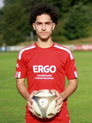 Mohamed Tarek Mohamed