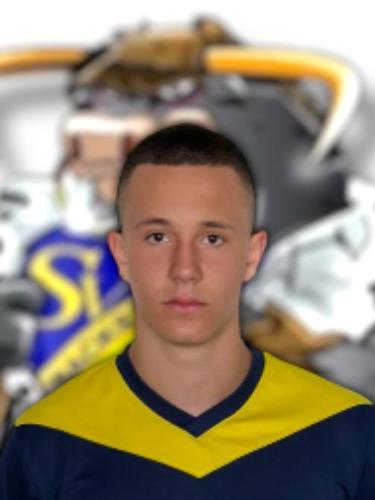 Lewis Gerling