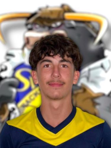 Luis Felipe Silva Bohr