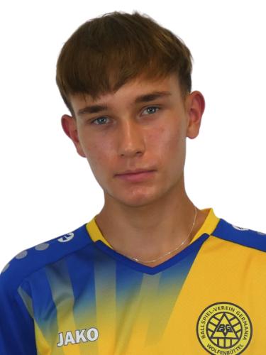 Dominik Horns