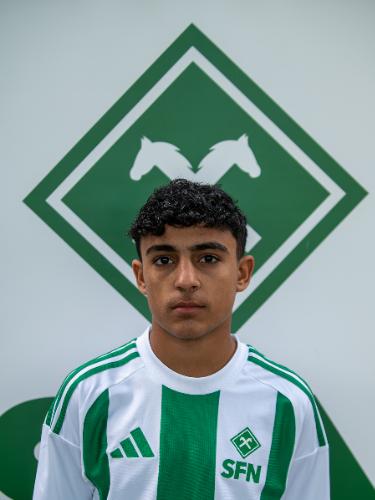 Amir Almaao