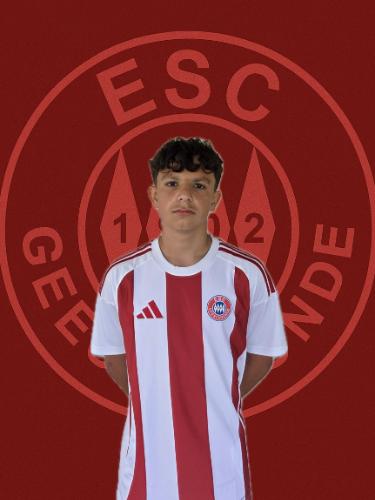 Alen Jasarovic