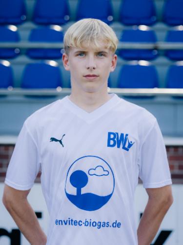 Niklas Vaal
