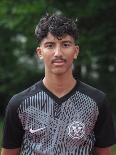 Aledin Ben Mansour