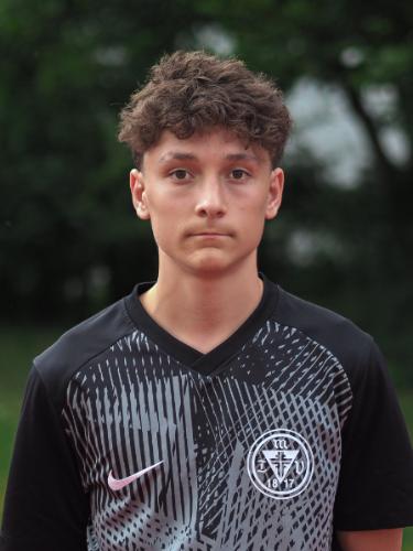 Louis Francis Freitag