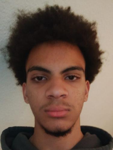 Anselmo Maurizio Minnozzi