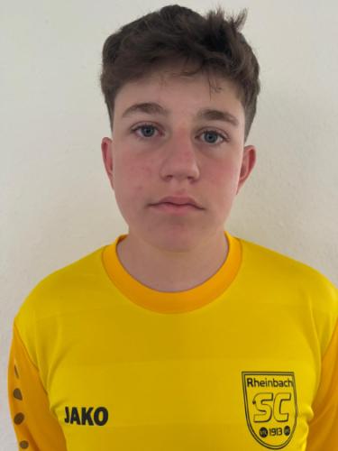 Leonard Jan Versteegen