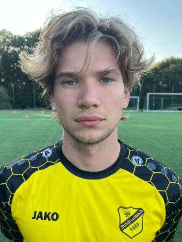 Niklas Maximilian Jung