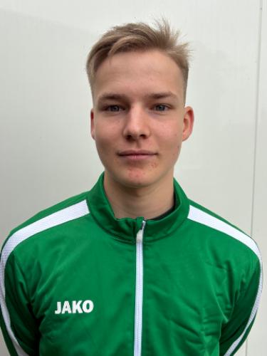 Henrik Ganze