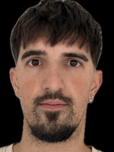 Paulo Alexandre Goncalves Vieira