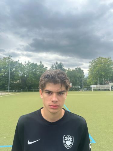 Niklas Hartfell