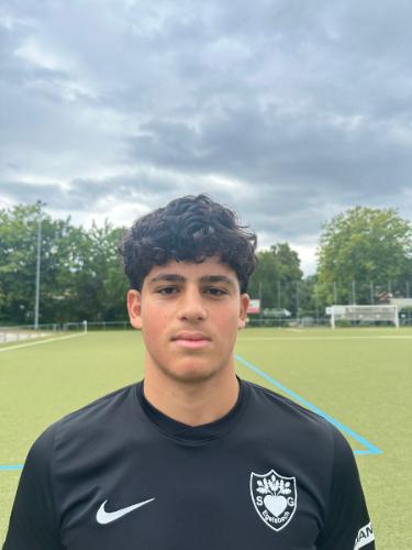 Mohamad Hussain Alali