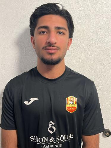 Alireza Saadi