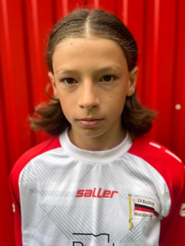 Meriton Hamzi-Zeneli