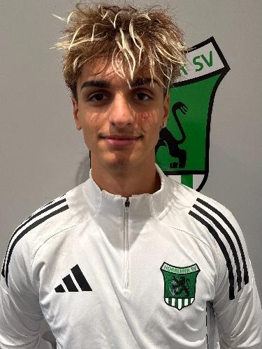 Gabriele Vuolo