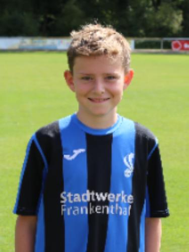 Ingo Heniek Stiemans