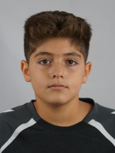 Mohammad Alhakim Alhendi
