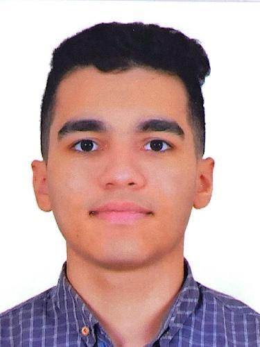 Ahmed Hossam Mohamd Mahmoud