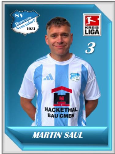Martin Saul