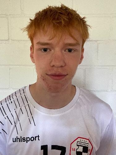 Paul Leopold Heinrich