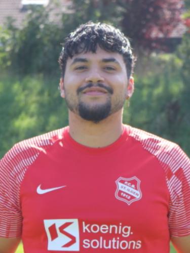 Jogris Lavado Pena