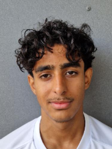 Ismail Ayoub
