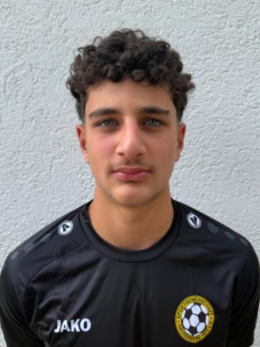 Efe Volkan Celik