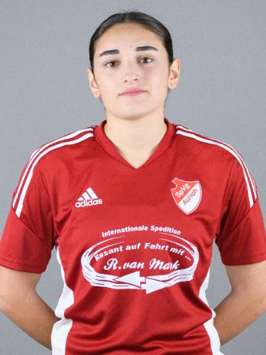 Darin Adi