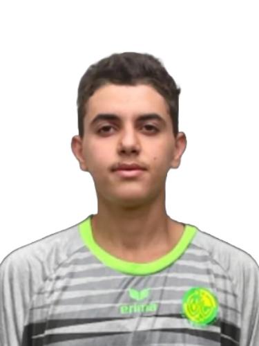 Mohammad Reza Zareeian