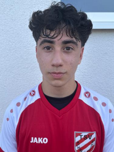 Arda Ugurlu
