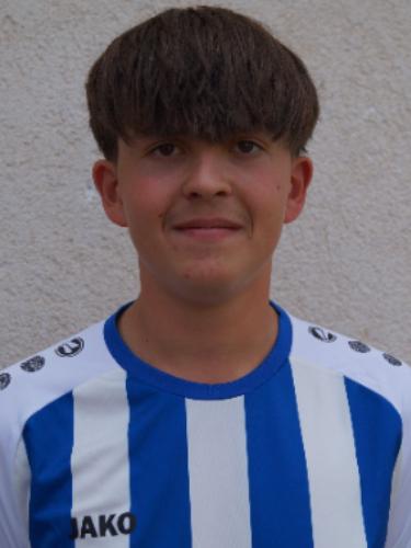 Louis Gaß