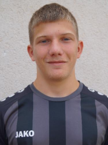 Theo Holscherer