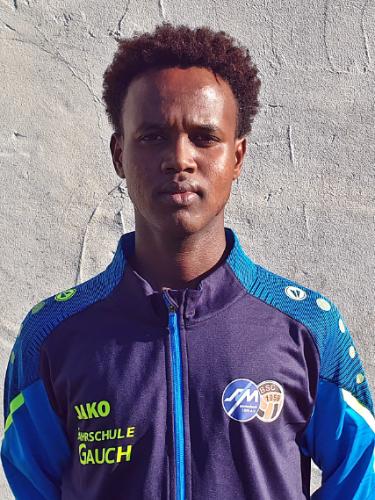 Ismail Mahad Abdullahi