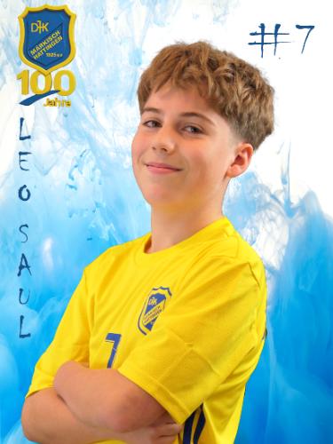 Leo Ismail Saul