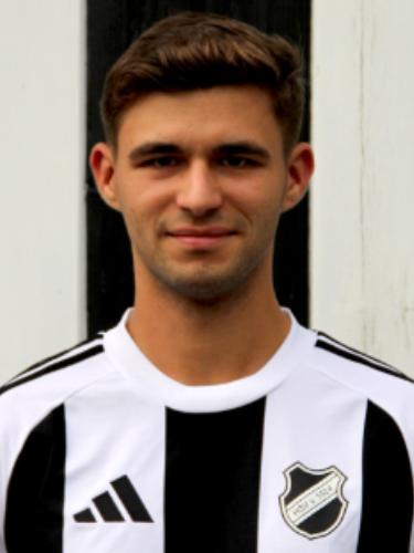 Niklas Carl Goertz