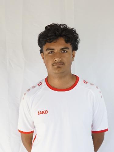 Ray Shamroz Arslan