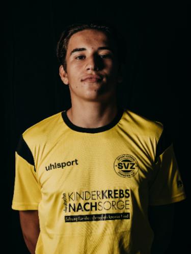 Damian Lujic