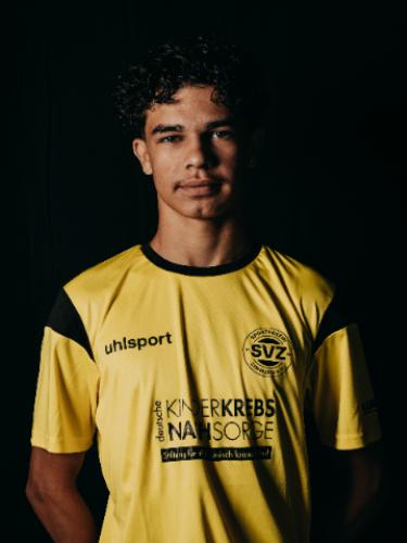Dario Serban