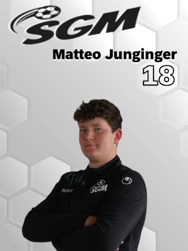 Matteo Junginger