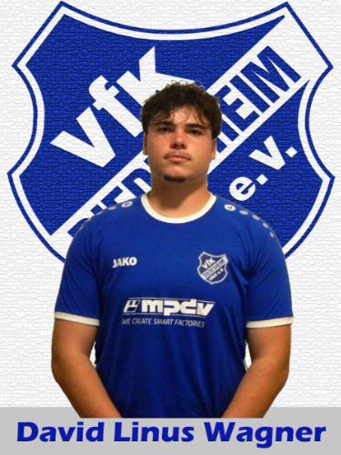 David Linus Wagner