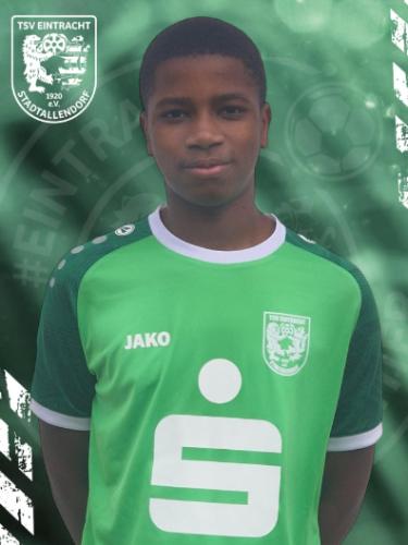 Tamba Robert Massana Ouendeno