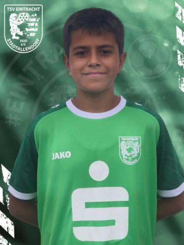 Ismail Tarik Yildirim